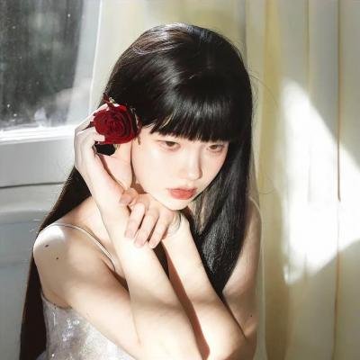 大笨蛋